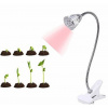 HIBRIGHT PROFI LED lampa na všetky rastliny, E27, 7W, ružovo-modrá