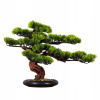 Dekoratívny bonsaj do interiéru, Borovica PN5
