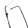 LINKA GAZU Triumph Sprint 955 RS 00-02