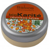 Saloos Bio Karité balzam - Rakytníkový 19 ml