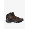 Turistické topánky Salomon X Ultra 360 Ltr Mid GTX - earth/delicioso/rock