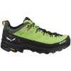 Salewa Turistická obuv Alp Trainer 2 Gtx viacfarebny