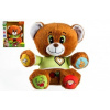 Teddies Medveď Vojtík hovoriaci 30 cm
