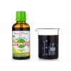 H-stop (Herpestop) - bylinné kapky (tinktura) - doplněk stravy 50 ml