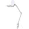 TOOLCRAFT TO-7497012 stolná lupa s LED osvetlením, Zväčšenie: 1.75 x, En.trieda 2021: F (A - G); TO-7497012
