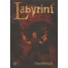 Labyrint - Pavel Renčín