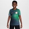 Nike Nike Nigeria Academy Pro Home Pre Match 2024 Shirt Junior Grey 7-8 rokov