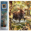 NORIMPEX Diamantové maľovanie Žreb v rieke 30x40cm