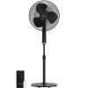 Siguro FN-K35 Summer Wind Black