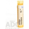 Arnica Montana gra.1 x 4 g 15CH