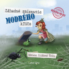 Audiokniha: Záhadné zmiznutie modrého kľúča