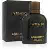 Dolce&Gabbana Dolce & Gabbana Pour Homme Intenso EdP 200 ml Pre mužov 737052872094