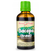 Bylinné kvapky Bakopa (Bacopa - Brahmi) - tinktúra, 50 ml