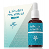 Energy Tribulus terrestris Forte 30 ml