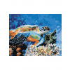 Diamantové maľovanie - MORSKÁ KORYTNAČKA Rámovanie: vypnuté plátno na rám, Rozmer: 40x50 cm