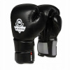 Boxerské rukavice DBX BUSHIDO DBX-B-2v9 14 oz