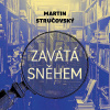 Zavátá sněhem