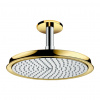 Hansgrohe Raindance Classic - Hlavová sprcha 240 1jet so sprchovým ramenom, chróm/vzhľad zlata 27405090