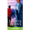 E-kniha Za búrkovými mrakmi - Janette Oke