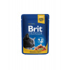 Brit cat kapsička losos a pstruh 100g