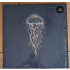 Cold Waves Divide Us [VINYL] Midas Fall CD