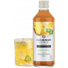 Sirup SodaStream Crafted Ananás & Jalapeno 330 ml