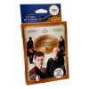 Panini Books Panini Harry Potter - Hogwarts Castle Sticker Guide to the Wizarding World Eco Blister