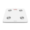 Chytrá osobní váha UMAX Smart Scale US20M