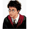 Zuty Harry Potter portrét 40 x 50 cm vypnuté plátno na rám 8596530132370