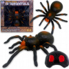 VEĽKÝ PAVÚK TARANTULA NA DIAĽKOVÉ OVLÁDANIE