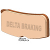 DELTA BRAKING DB2195OR-D DELTA BRZDOVÉ DOŠTIČKY KH474 PREDNÉ CAN-AM SPYDER 1000 '08-'12