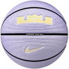 Nike Signature Playground L James size 7