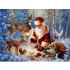 Diamantové maľovanie Norimpex 40x30 cm Santa Claus so zvieratkami v lese