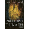 Pro hrst dukátů (Juraj Červenák)