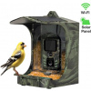 Evolveo StrongVision BirdFeeder 8595683204552