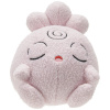 Sleeping Igglybuff Pokémon