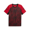 Pánske Tričko s krátkym rukávom PUMA INDIVIDUALLIGA GRAPHIC JERSEY 66057801 – Červená