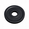 Gorilla Sports Záťažový kotúč 50/51mm 2,5 kg