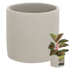 Keramický valec betónový kvetináč fi 16 cm