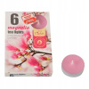 Admit Tea Lights Magnolia 6 ks
