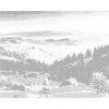 ZUTY Bodkovanie - KRAJINA KOPCE A STROMY Rámovanie: bez rámu a bez vypnutia plátna, Rozmer: 80x100 cm