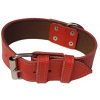 Palkar Obojok z kože hladenice pre psov 75 cm × 40 mm červený