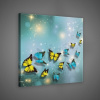 Obraz na plátne štvorec - OB2004 - Motýle 80cm x 80cm - O2