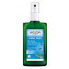 Weleda šalviový dezodorant sprej 100 ml