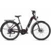 BESV Horský elektrobicykel TR 1.3 LS 2024 M, Fialová