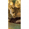 Dverová fototapeta - DV0237 - Leopard 91cm x 211cm - Vliesová fototapeta