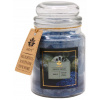 ARÔME Exotic Opium 560 g