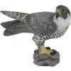 Collecta 88399 Sokol sťahovavý 6 cm Divoké zvieratá