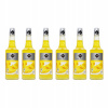 6 x barmanský sirup RIOBA na nápoje ANANAS 700 ml
