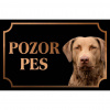 Retríver zo zálivu Chesapeake - Kovová tabuľka POZOR PES